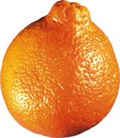 Mandarin PNG