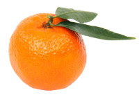 Mandarin PNG