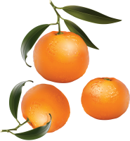 Mandarin PNG