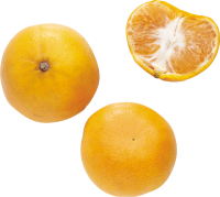 Mandarin PNG