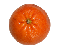 Mandarin PNG