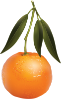 Mandarin PNG