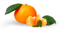 Mandarin PNG