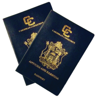 Passport PNG