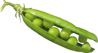 Pea PNG