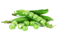 Pea PNG