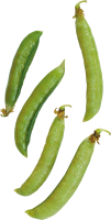 Pea PNG