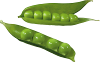 Pea PNG