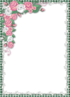 Picture, photo frame PNG