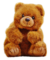 Teddy bear PNG