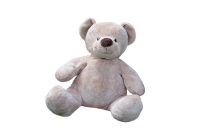 Teddy bear PNG