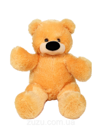 Teddy bear PNG