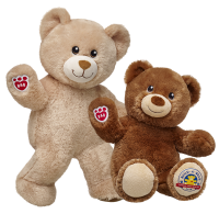 Teddy bear PNG