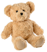 Teddy bear PNG