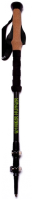 Trekking pole PNG