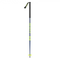 Trekking pole PNG