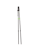 Trekking pole PNG