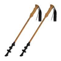 Trekking pole PNG