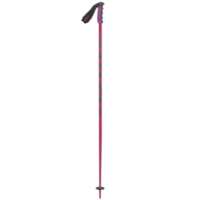 Trekking pole PNG