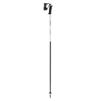 Trekking pole PNG