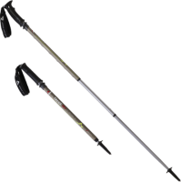 Trekking pole PNG