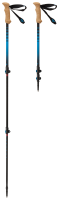 Trekking pole PNG