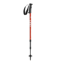 Trekking pole PNG