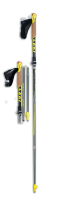 Trekking pole PNG