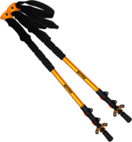 Trekking pole PNG