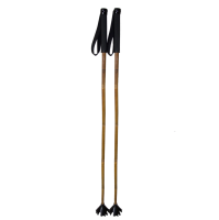 Trekking pole PNG