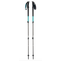 Trekking pole PNG