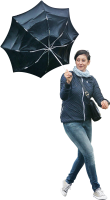 Umbrella PNG