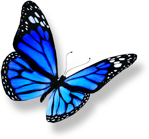 Vibrant Blue Butterfly PNG image