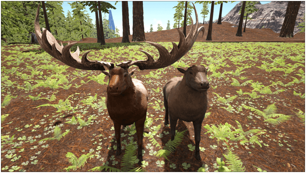 Ark Megaloceros