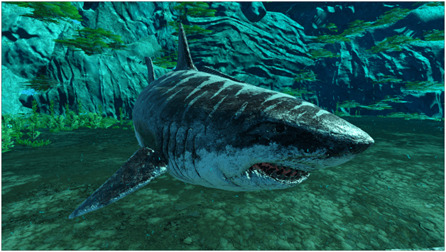 Ark Megalodon