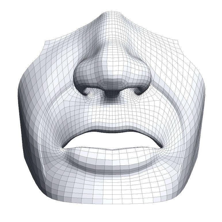 mouth-nose.obj 3d model