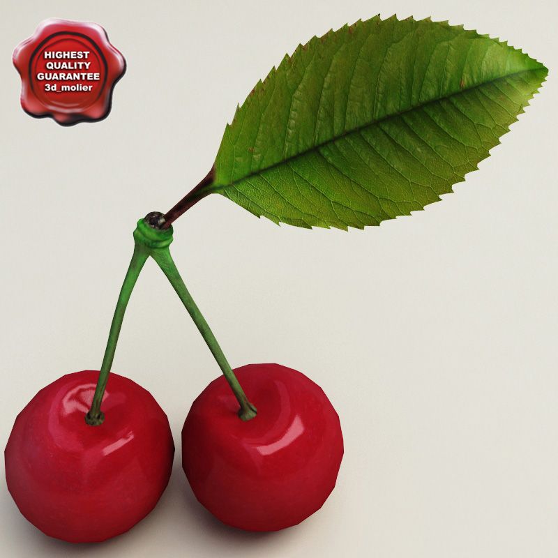 Collection de cerises 3d model