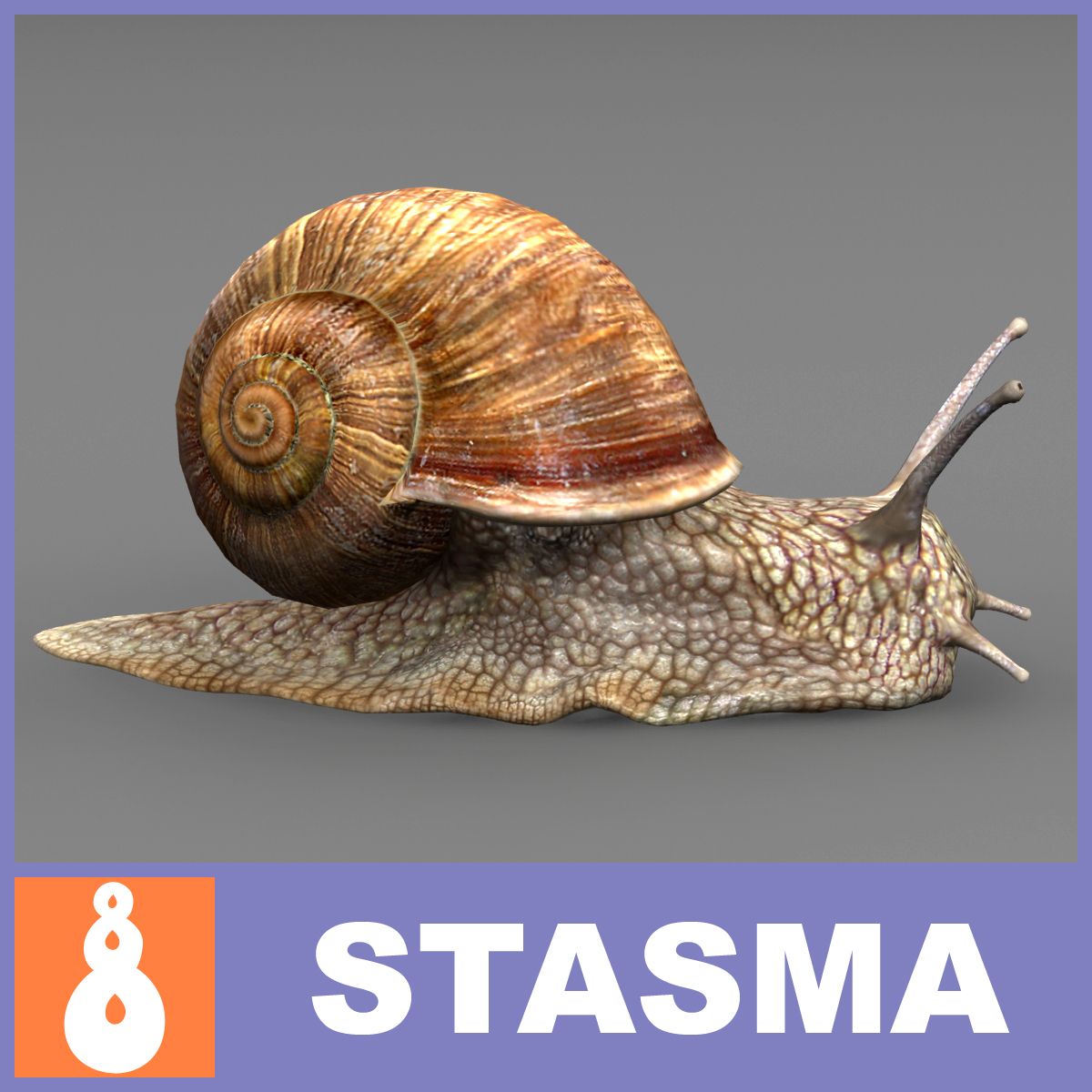 Escargot 3d model