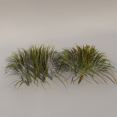 Gras 3d model