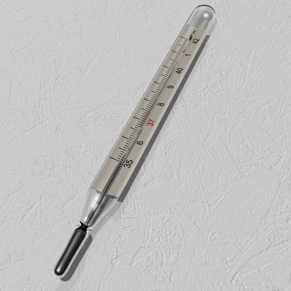 Thermomètre 3d model