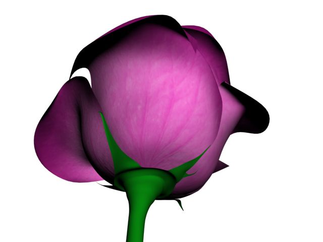 Rose Flower 3d model