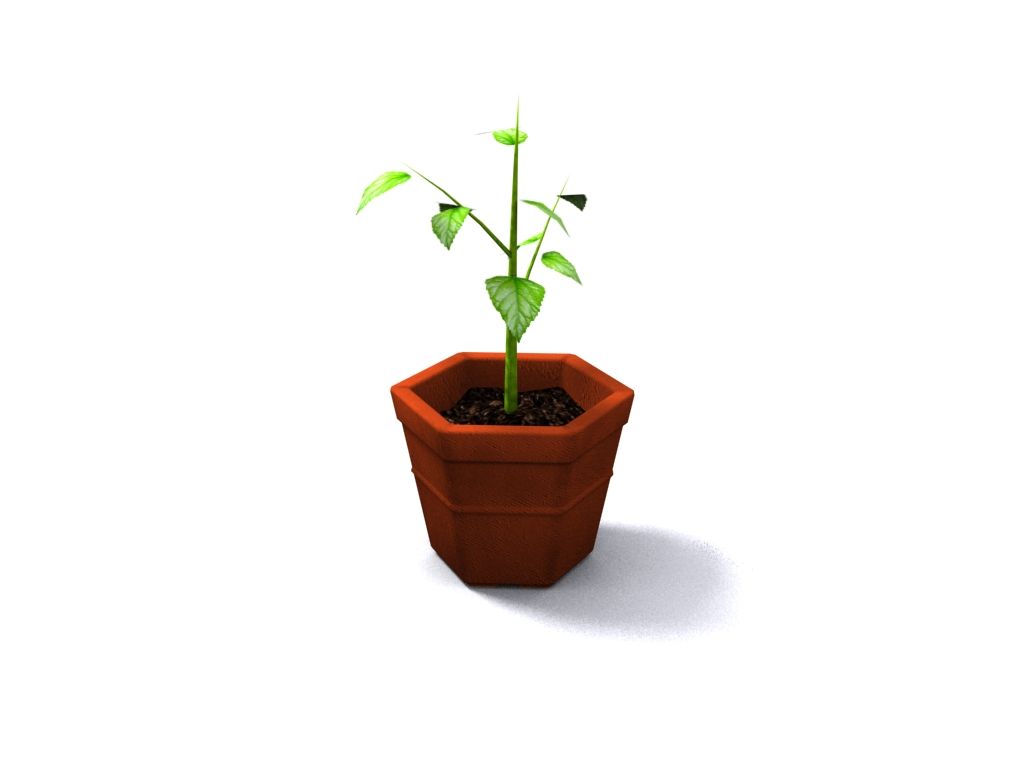 Plant Pot 3d model