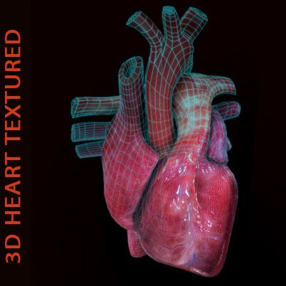 Coeur 3D texturé 3d model