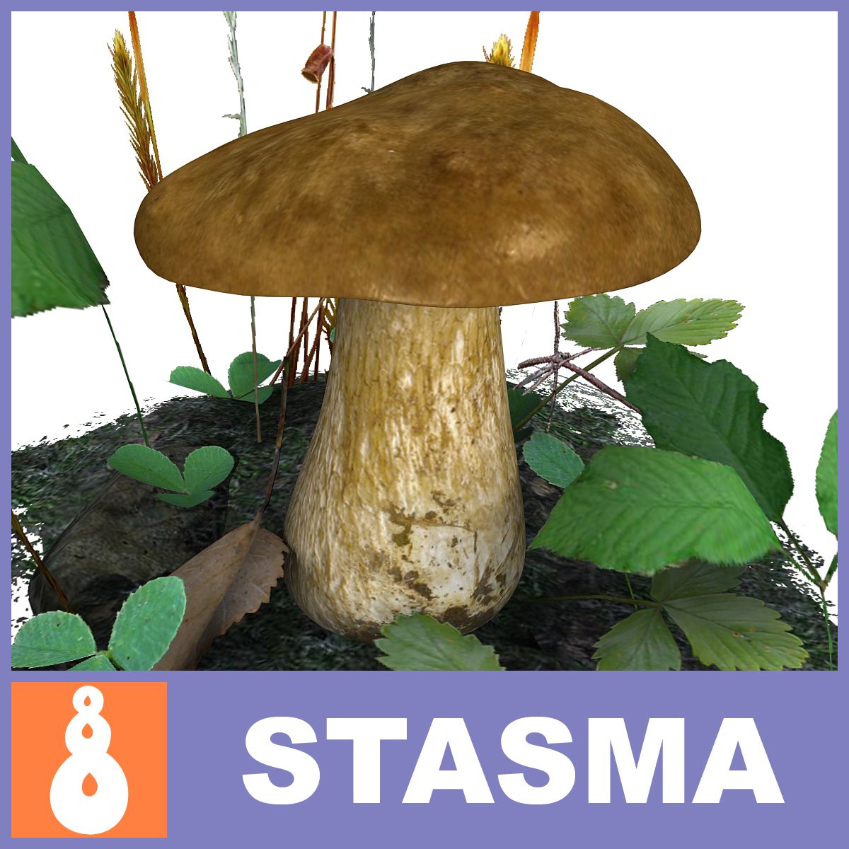 Boletus edulis A 3d model