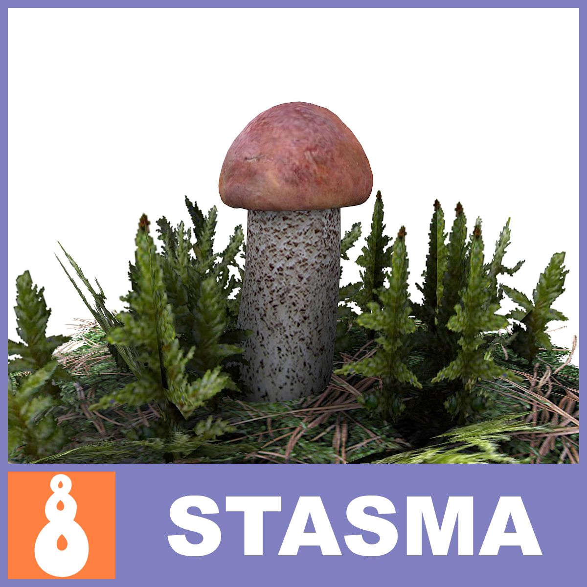 Boletus edulis C 3d model