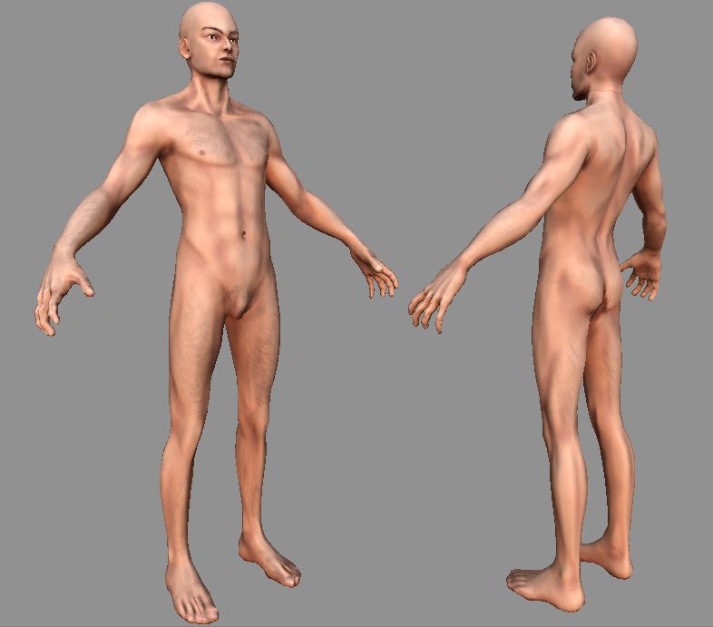 Humano hombre bas desnudo modelo 3d