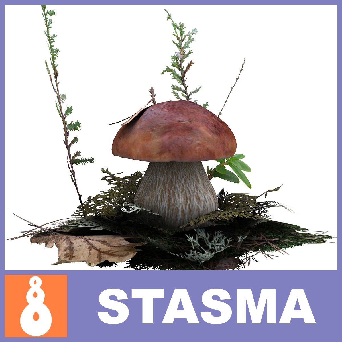 Boletus edulis B 3d model