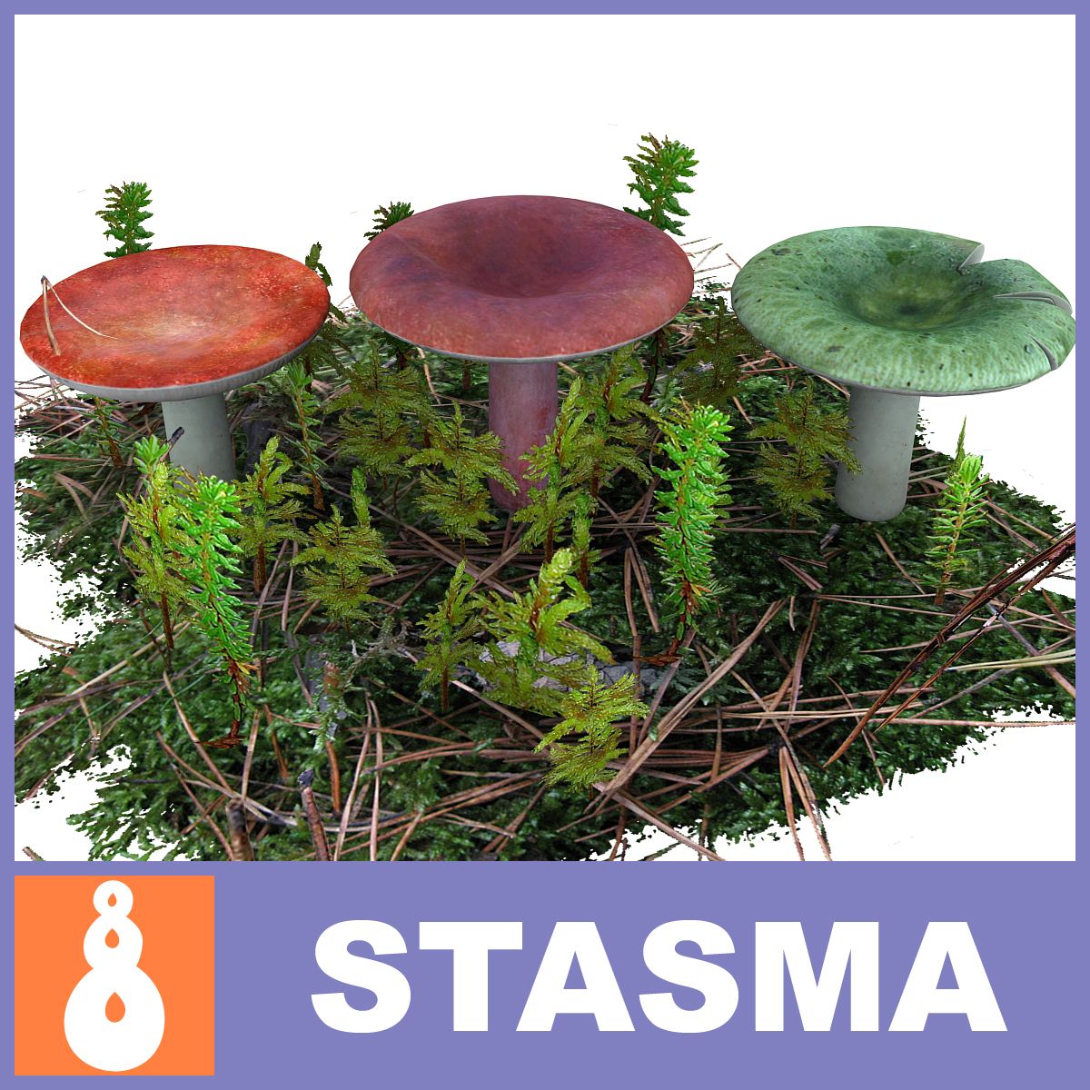 Russula 3d model