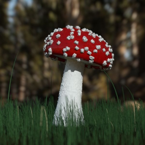 Champignon 3d model