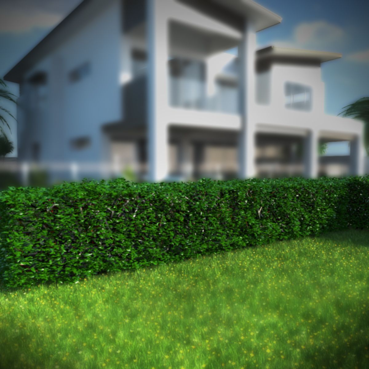 Hedge 3d model